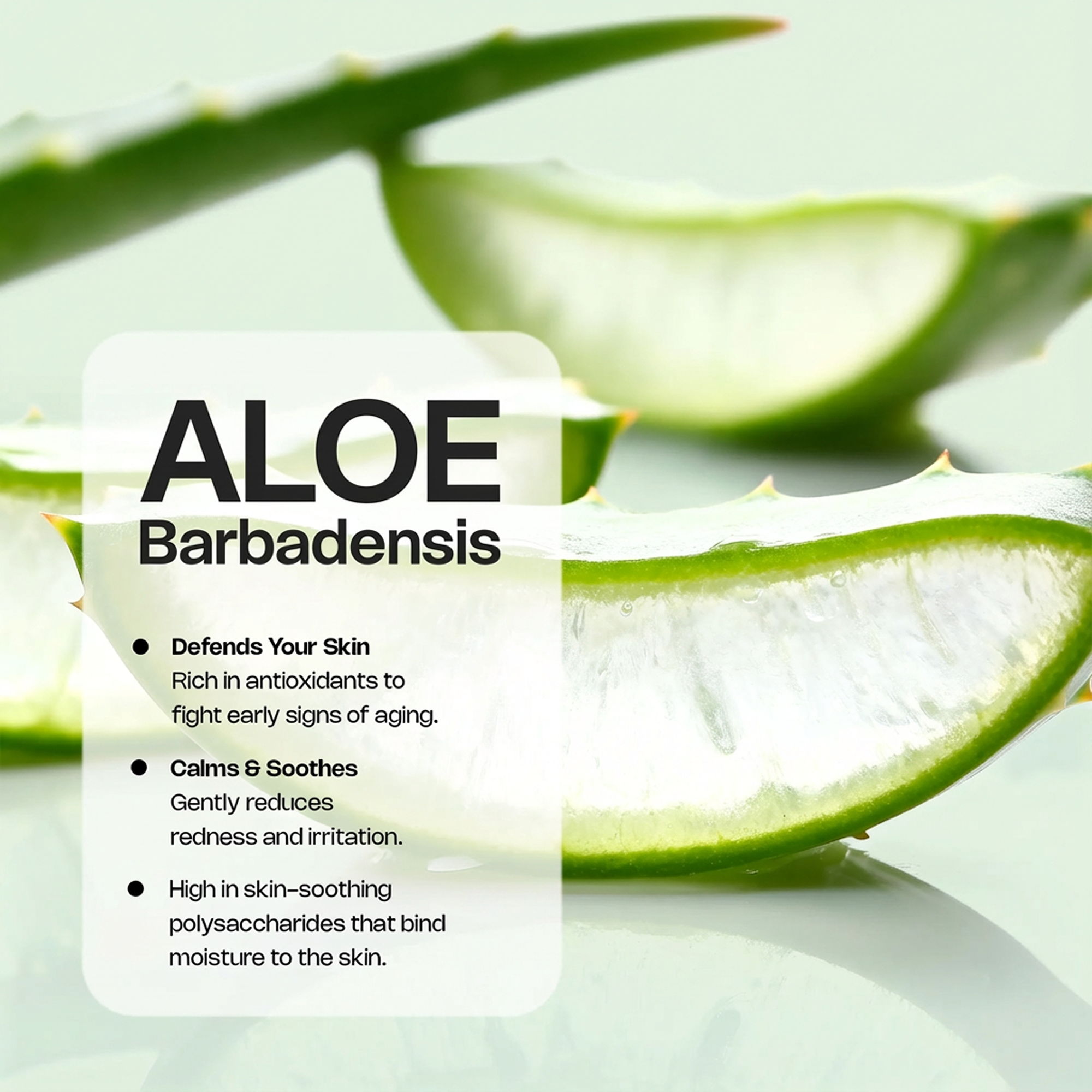 Copper + Peptide Renewal Elixir