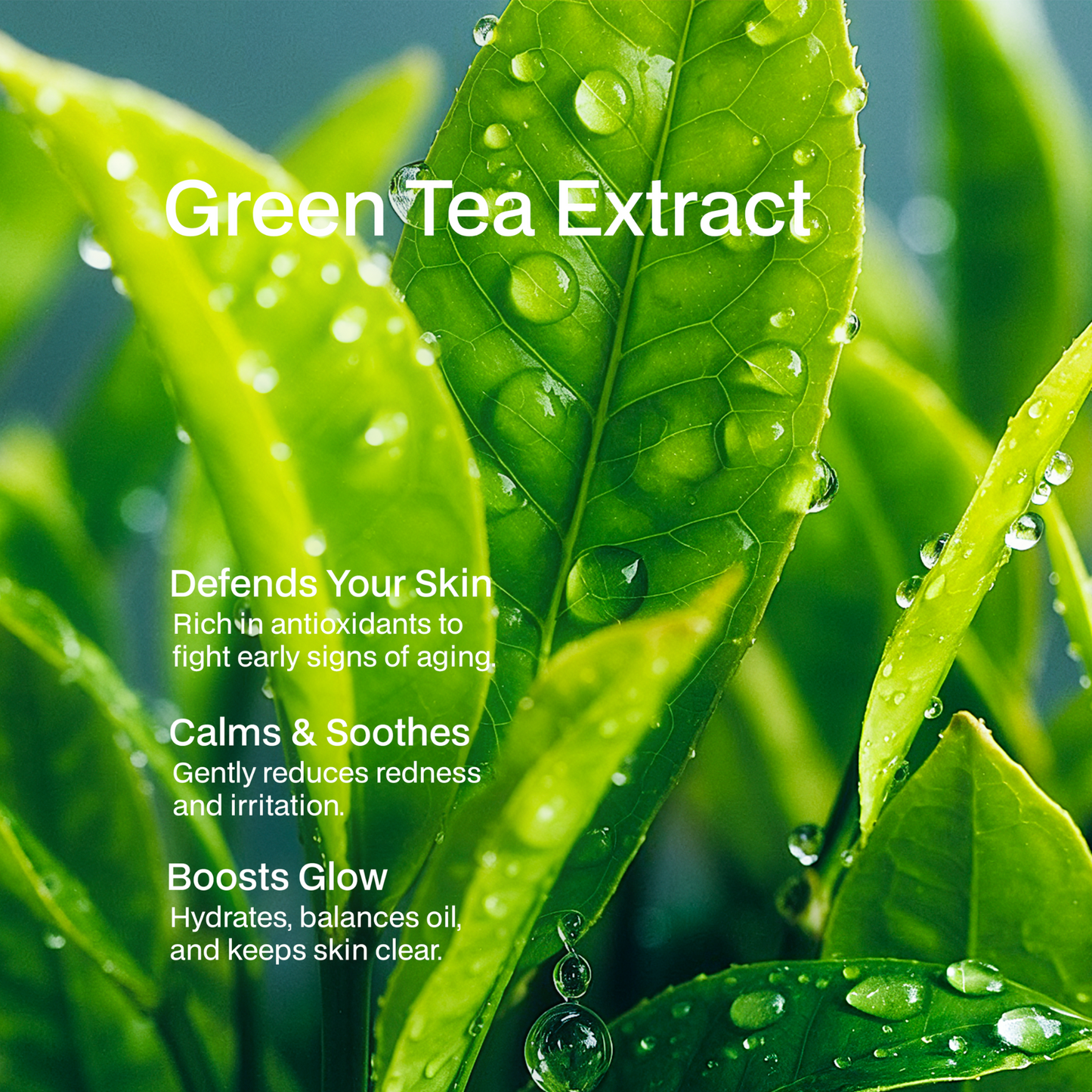 Essence & Hydrate Face Duo