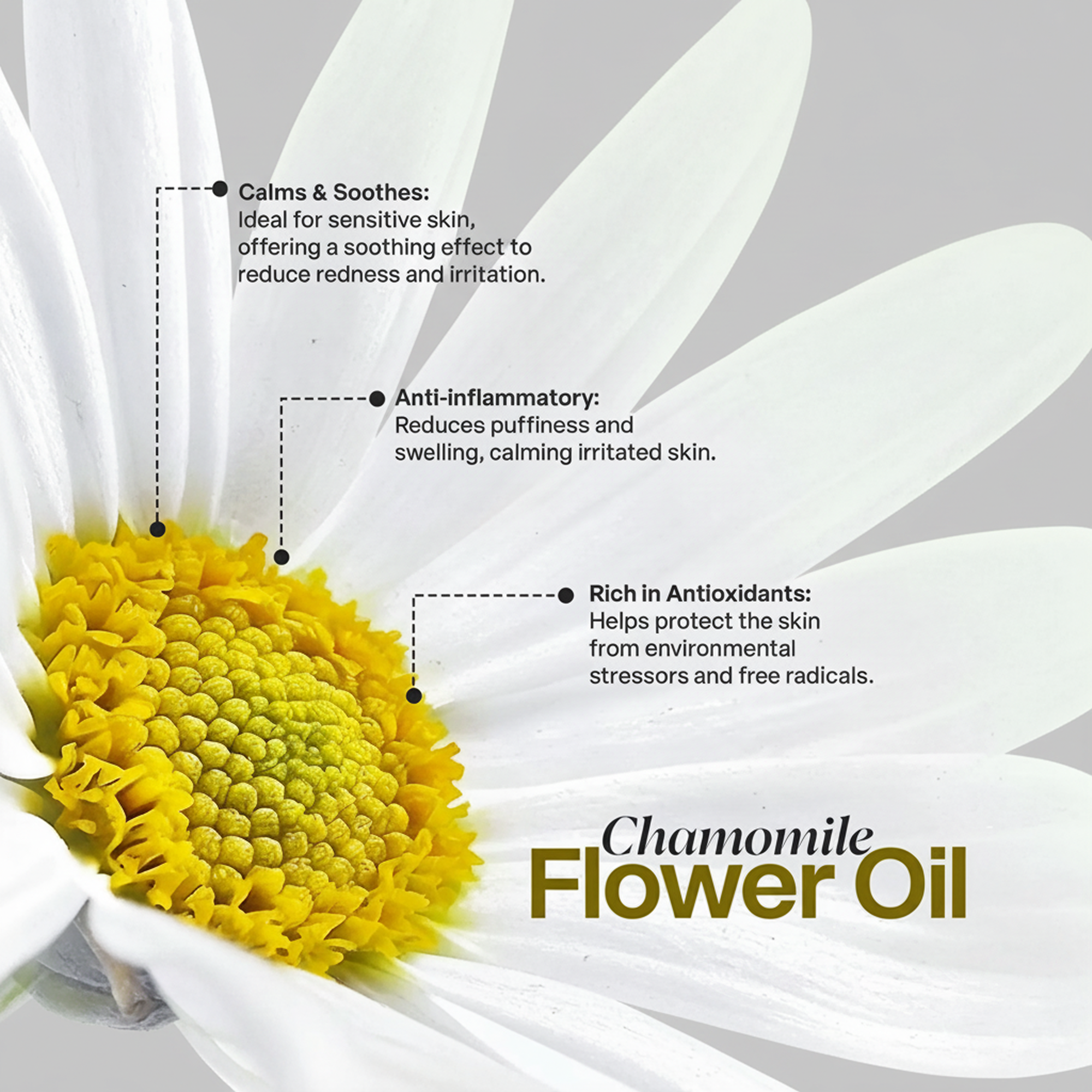 Manuka Honey Chamomile Tallow Body Balm