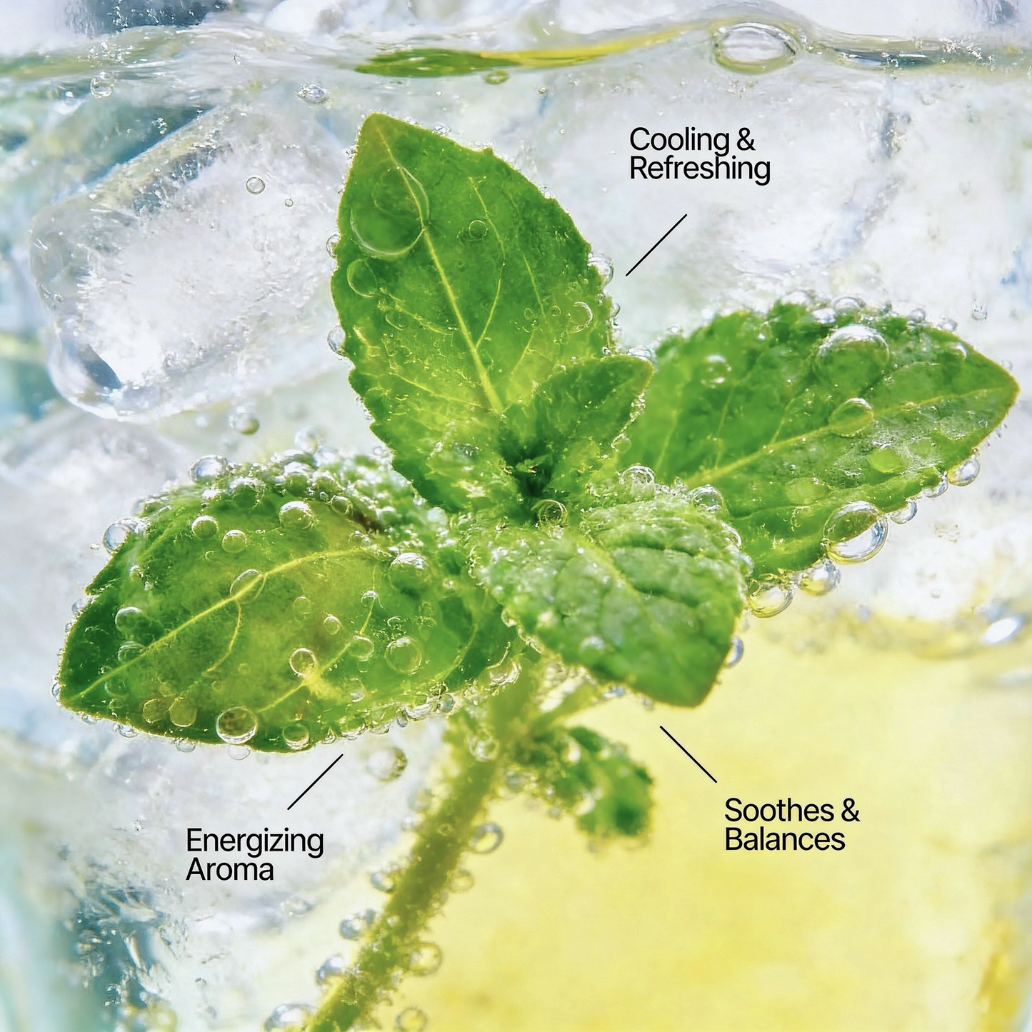 Peppermint Peptide Deodorant (Pack of 2)